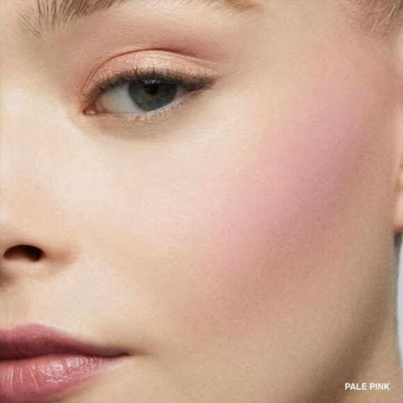 Bobbi Brown Blush in Pale Pink - Picture 6 of 12